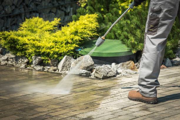 Best Pool Deck Cleaning  in Lake Crystal, MN